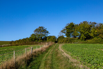 Fototapeta premium A Rural Sussex Landscape
