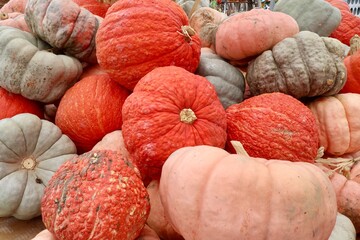 Pumpkin, gourds and squash, autumn harvest display at roadside farmers market.