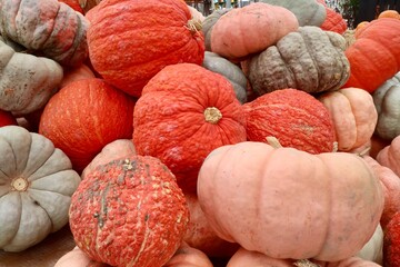 Pumpkin, gourds and squash, autumn harvest display at roadside farmers market.