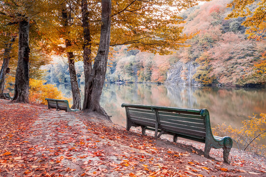 Benches at lake Parz Lich (clear lake) in Dilijan, Armenia, Autumn landscape
