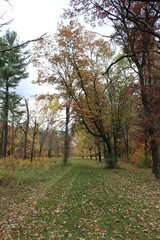 Obraz premium autumn in the park