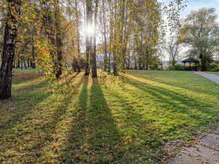 evening sunlight in autumn park