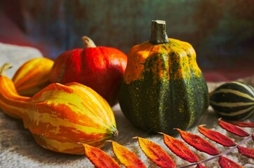 pumpkin on a wooden table