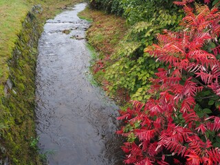 Fluss bahnt sich den Weg durch herbstliche Landschaft