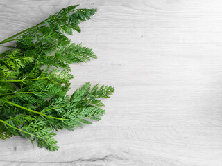 Orange natural carrot with a fluffy long tail. On a light background