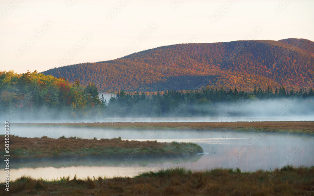 Poster landscape of morning river with fog and forest - Posters