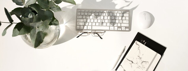 flat lay top view office desk banner on white  background with laptop, eucalyptus leaves in a vase, accessories, notebooks , glasses and floral sunlight shadows. Copy space.