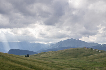 View of alpine plateau above Rolle Pass towards the north, with the back to Pale di San Martino mountain group, Parco Naturale Paneveggio-Pale di San Martino, Dolomites, Trentino-Alto Adige, Italy.