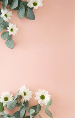 white chrysanthemum flowers and eucalyptus leaves frame top view on pink background. copy space,  floral card, poster. 
