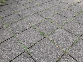 
decorative stone pavement road in the park