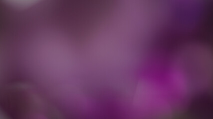 Blurred purple background. Purple bokeh