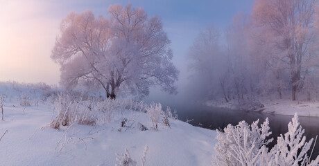 Winter landscape. Trees in frost in the morning sun.