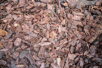 decorative bark. brown chips bark particles for ornamental garden