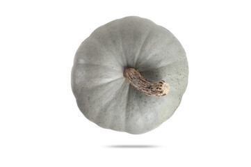 blue-grey pumpkin top view isolated on white background