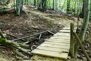 a forest path to a mountain peak