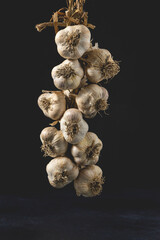 String of Garlic bulbs isolated on a dark background. Close-up view.