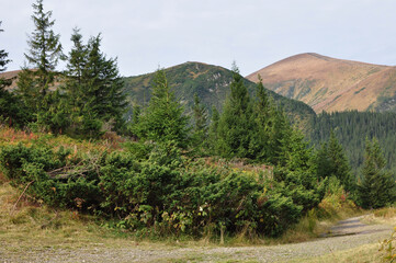 Panorama of mountain landscape, Carpathians, Verkhovyna