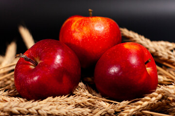 Three red apples lie on a bunch of ripe wheat ears.