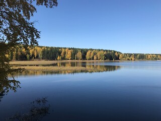 lake, nature, park, sky, blue