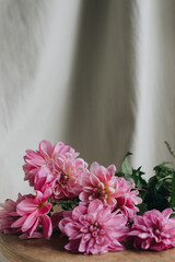pink dahlias