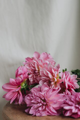 pink dahlias