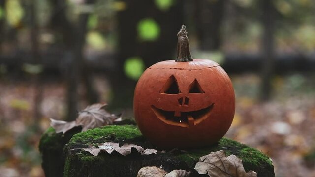 Slow motion video. Orange Halloween pumpkin with  carved spooky face with burning candle inside of it stands in autumn forest by fallen leaves. Selective focus. Halloween theme.