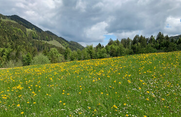 Scenic spring lanscape of the swiss region of Appenzell