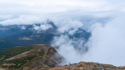 Mountains in the clouds. Hoverla in the Carpathians. Mysterious blue and green mountains. photo from the peak