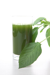 青汁(モロヘイヤ)