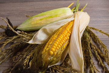 Corn lies on canvas. A new crop. Corn cob on a plate. Sweet corn on background for food ingredients and cooking concept.