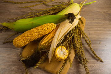 Corn lies on canvas. Fresh corn closeup. Corn cob on a plate. Sweet corn on background for food ingredients and cooking concept.