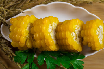 Corn lies on canvas. Fresh corn closeup. Corn cob on a plate. Sweet corn on background for food ingredients and cooking concept.
