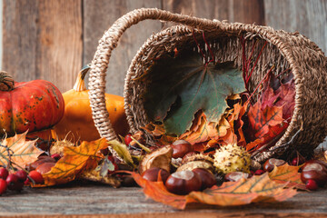 Image of an autumn nature concept. Dogberry, leaves in a basket, pumpkins an fall seeds on a wooden table as a background.