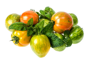 Green and ripe tomatoes with striped skin color