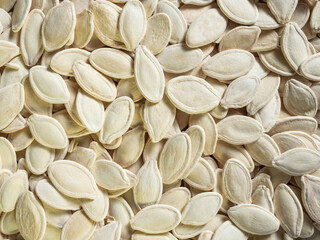 Close-up of detailed white yellow, dry, fried and salty pumpkin seeds as background texture. The concept of proper, healthy and dietary nutrition.