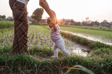 portrait of a mother is teaching her son walks on the rice field