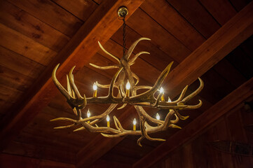 Hanging Antler Light Fixture