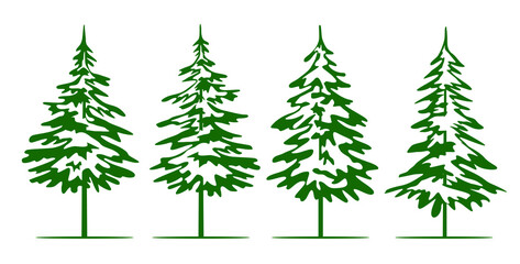 A set of Green Christmas Trees. Vector illustration and Icon. Winter Spruce.