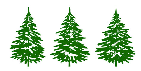 A set of Green Christmas Trees. Vector illustration and Icon. Winter Spruce.