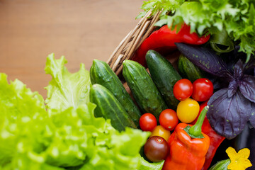 wicker basket filled with variety of ripe vegetables. bountiful harvest. Multi-colored juicy fresh: tomatoes, zucchini, lettuce, cucumber, basil, peppers and herbs. Vitamins set natural eco bio vegan