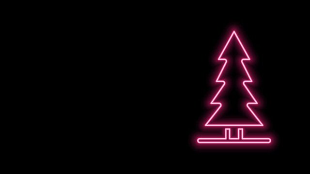 Glowing neon line Canadian spruce icon isolated on black background. Forest spruce. 4K Video motion graphic animation