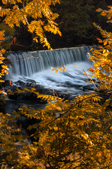 Water flowing down a small picturesque waterfall framed by fall foliage. Madam Brett Park - Beacon, New York. 
  