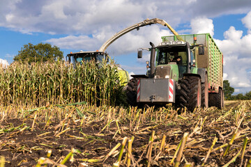 Agricultural machinery during harvest in the maize field - 4231