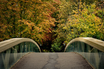 Pont qui mène à une foret d'automne 