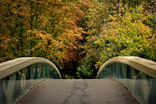 Pont qui m&egrave;ne &agrave; une foret d'automne 