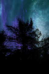 Fototapeta premium spooky halloween night