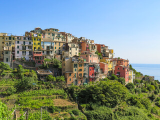 Obraz premium View of Corniglia, a beautiful hilltop italian village in the Cinque Terre