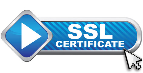 ssl certificate icon