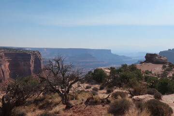 Large canyon in Utah