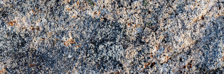 Natural texture of a stone covered with lichen. Wide panoramic background for design.